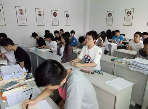 树人教育各校区地址与咨询热线